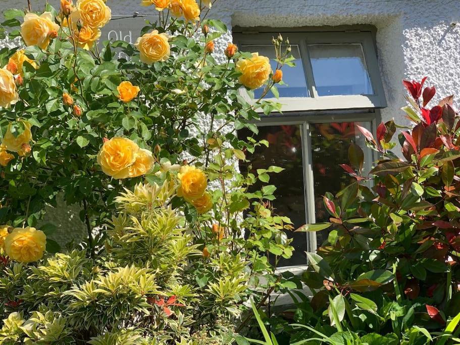 The Old Post Office, Cosy Grade II Listed 2 Bed Apartment Windermere Exterior foto